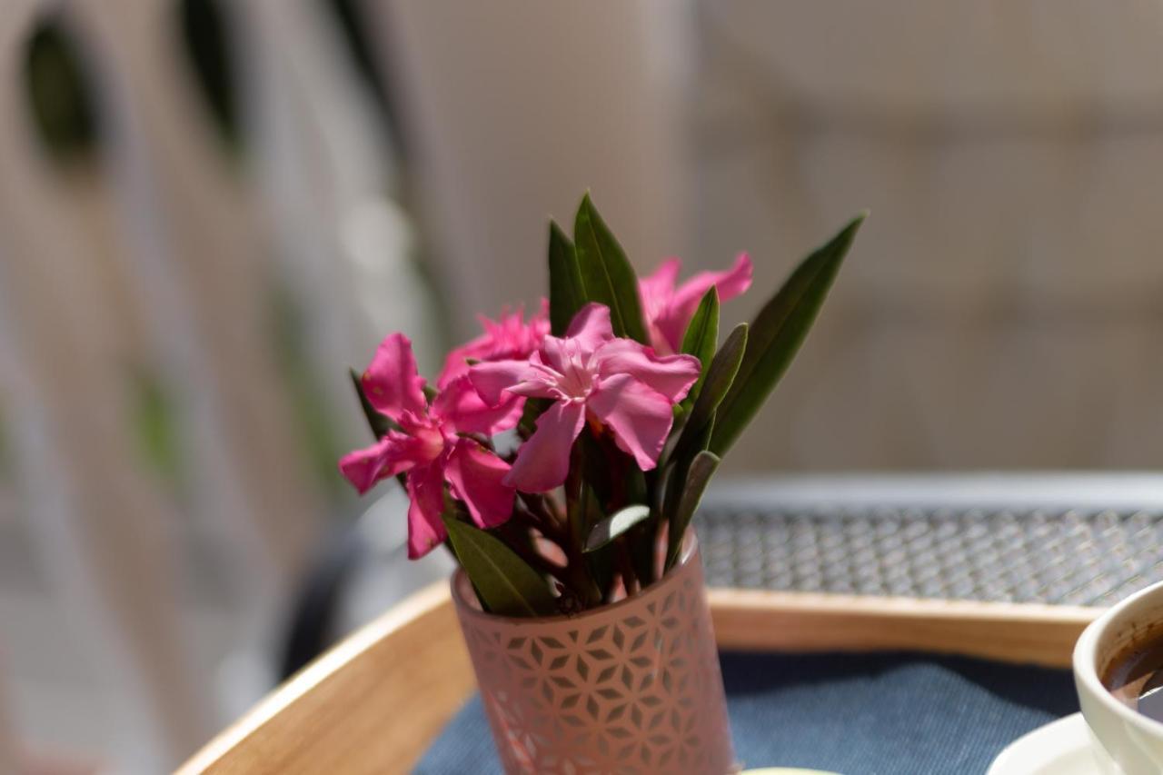 דראמליי Villa Oleander מראה חיצוני תמונה